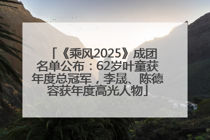 《乘风2025》成团名单公布：62岁叶童获年度总冠军，李晟、陈德容获年度高光人物