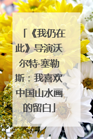《我仍在此》导演沃尔特·塞勒斯：我喜欢中国山水画的留白