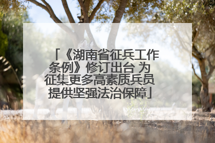 《湖南省征兵工作条例》修订出台 为征集更多高素质兵员提供坚强法治保障