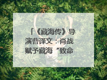 《藏海传》导演曹译文：肖战赋予藏海“致命”吸引力