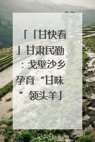 「甘快看」甘肃民勤：戈壁沙乡孕育“甘味”领头羊