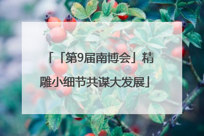 「第9届南博会」精雕小细节共谋大发展