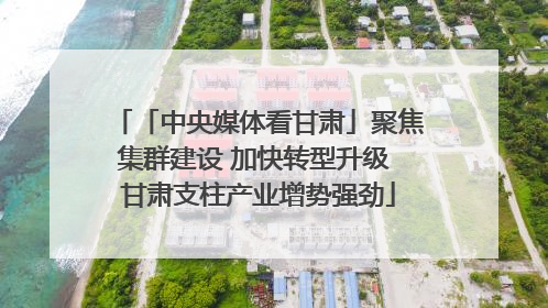 「中央媒体看甘肃」聚焦集群建设 加快转型升级 甘肃支柱产业增势强劲