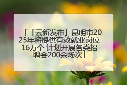 「云新发布」昆明市2025年将提供有效就业岗位16万个 计划开展各类招聘会200余场次