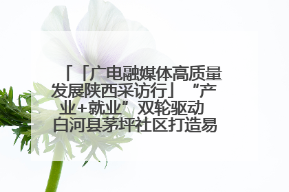 「广电融媒体高质量发展陕西采访行」“产业+就业”双轮驱动 白河县茅坪社区打造易地搬迁后扶新样本