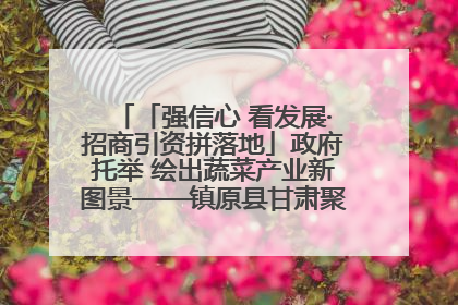 「强信心 看发展·招商引资拼落地」政府托举 绘出蔬菜产业新图景——镇原县甘肃聚广利现代设施蔬菜种植基地见闻