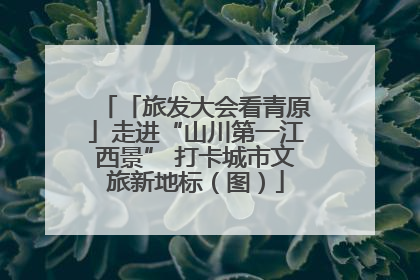 「旅发大会看青原」走进“山川第一江西景” 打卡城市文旅新地标（图）
