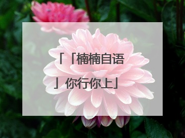 「楠楠自语」你行你上