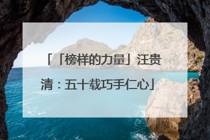 「榜样的力量」汪贵清：五十载巧手仁心