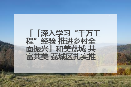 「深入学习“千万工程”经验 推进乡村全面振兴」和美荔城 共富共美 荔城区扎实推进乡村振兴工作
