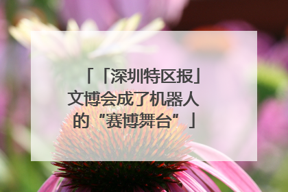 「深圳特区报」文博会成了机器人的“赛博舞台”