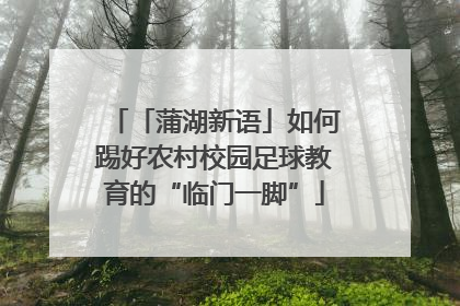 「蒲湖新语」如何踢好农村校园足球教育的“临门一脚”