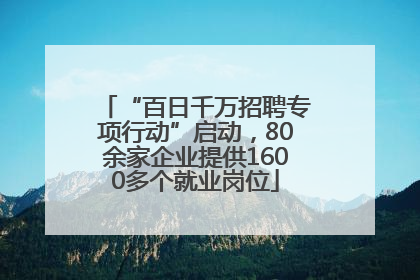 “百日千万招聘专项行动”启动，80余家企业提供1600多个就业岗位