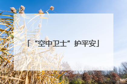 “空中卫士”护平安