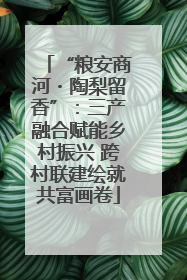 “粮安商河・陶梨留香”：三产融合赋能乡村振兴 跨村联建绘就共富画卷