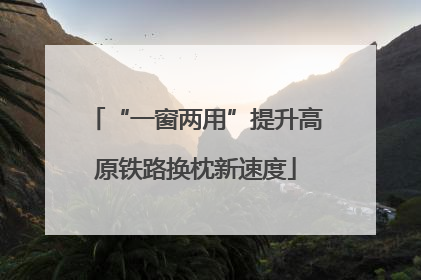 “一窗两用”提升高原铁路换枕新速度