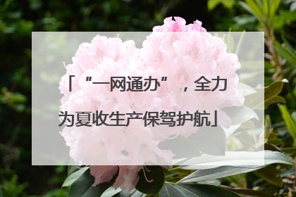 “一网通办”，全力为夏收生产保驾护航