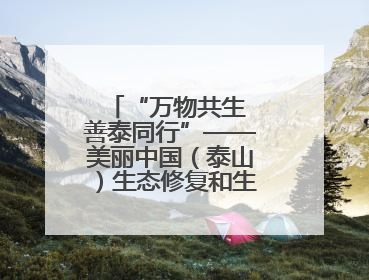 “万物共生 善泰同行”——美丽中国（泰山）生态修复和生物多样性保护研讨会成功举办
