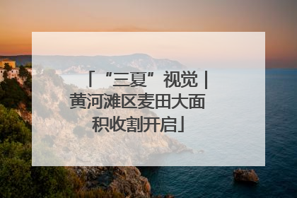 “三夏”视觉｜黄河滩区麦田大面积收割开启