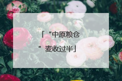 “中原粮仓”麦收过半