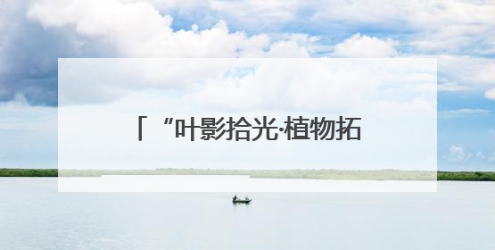 “叶影拾光·植物拓染”手作体验活动
