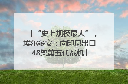 “史上规模最大”，埃尔多安：向印尼出口48架第五代战机