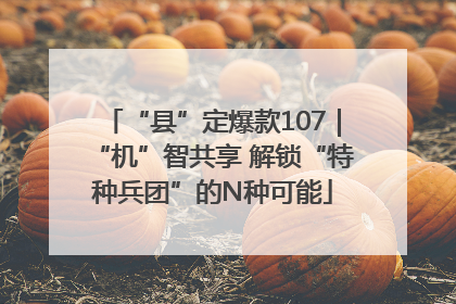 “县”定爆款107｜“机”智共享 解锁“特种兵团”的N种可能