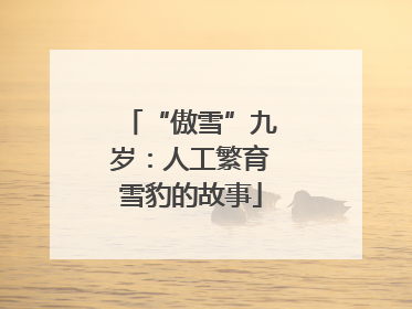 “傲雪”九岁：人工繁育雪豹的故事