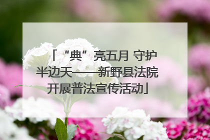 “典”亮五月 守护半边天——新野县法院开展普法宣传活动