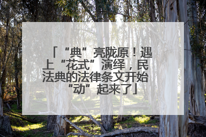 “典”亮陇原！遇上“花式”演绎，民法典的法律条文开始“动”起来了