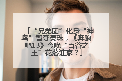 “兄弟团”化身“神鸟”智夺灵珠，《奔跑吧13》今晚“百谷之王”花落谁家？