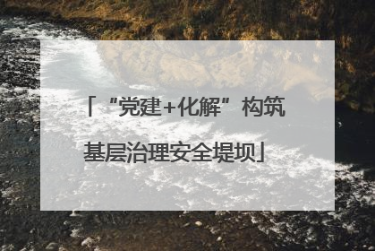 “党建+化解”构筑基层治理安全堤坝
