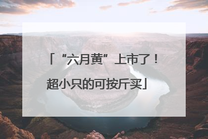 “六月黄”上市了！超小只的可按斤买