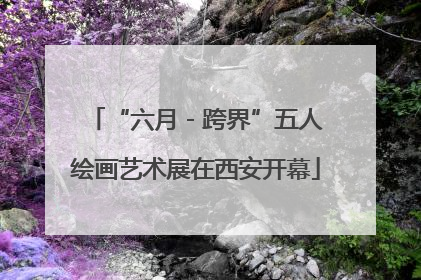“六月 - 跨界”五人绘画艺术展在西安开幕