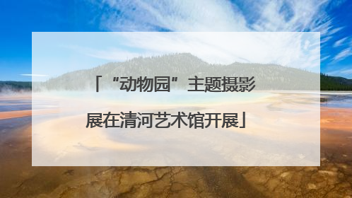 “动物园”主题摄影展在清河艺术馆开展