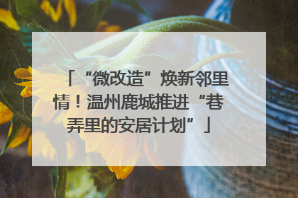 “微改造”焕新邻里情！温州鹿城推进“巷弄里的安居计划”