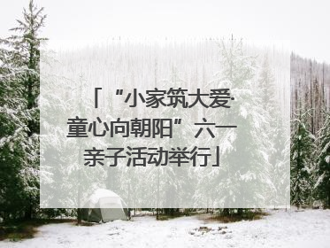 “小家筑大爱·童心向朝阳”六一亲子活动举行