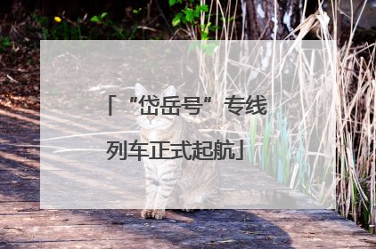 “岱岳号”专线列车正式起航