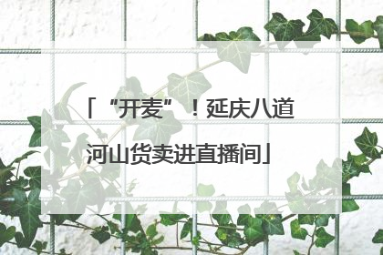 “开麦”！延庆八道河山货卖进直播间