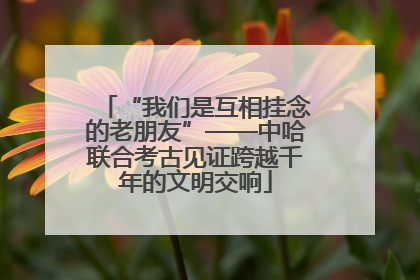 “我们是互相挂念的老朋友”——中哈联合考古见证跨越千年的文明交响