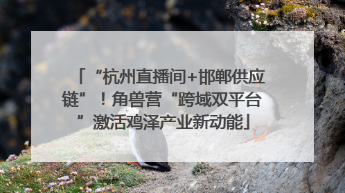 “杭州直播间+邯郸供应链”！角兽营“跨域双平台”激活鸡泽产业新动能