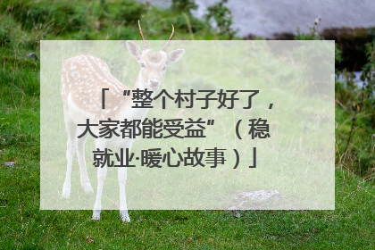 “整个村子好了，大家都能受益”（稳就业·暖心故事）