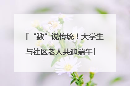 “数”说传统！大学生与社区老人共迎端午
