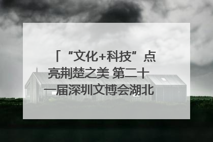 “文化+科技”点亮荆楚之美 第二十一届深圳文博会湖北馆抢“鲜”看