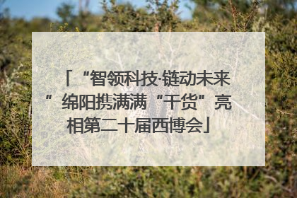 “智领科技·链动未来”绵阳携满满“干货”亮相第二十届西博会