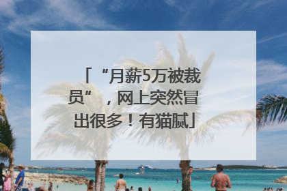 “月薪5万被裁员”，网上突然冒出很多！有猫腻