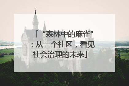 “森林中的麻雀”：从一个社区，看见社会治理的未来