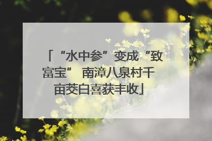 “水中参”变成“致富宝” 南漳八泉村千亩茭白喜获丰收