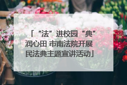 “法”进校园“典”润心田 市南法院开展民法典主题宣讲活动
