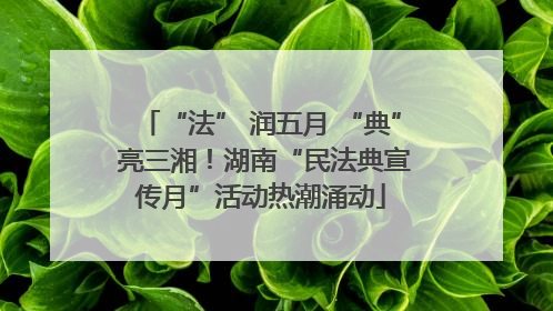 “法” 润五月 “典” 亮三湘！湖南“民法典宣传月”活动热潮涌动